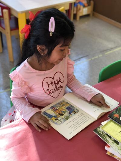 Little girl in pink reading a book